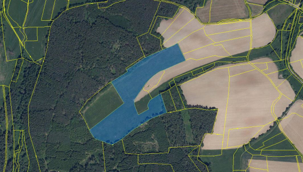 Prodej zemědělské půdy - orná půda  45426 m2 v k.ú. Pečičky